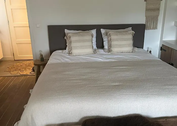 No. 42 Bed & Breakfast 3*